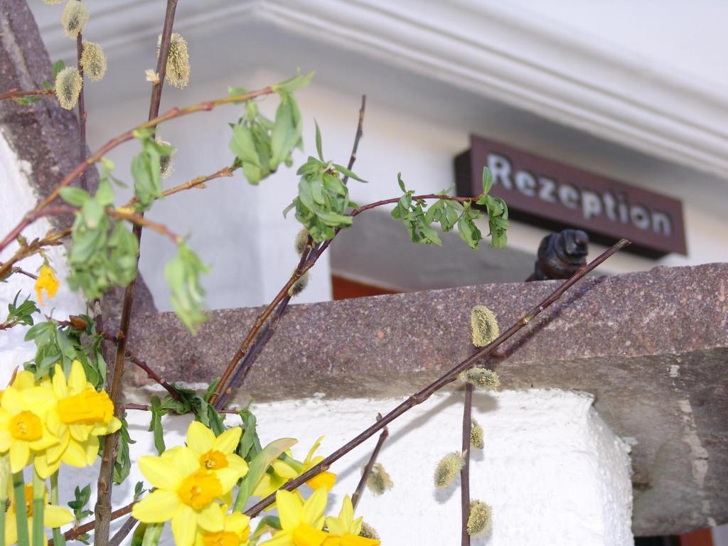 Hotel Ferienhaus Fux Oberammergau Ngoại thất bức ảnh